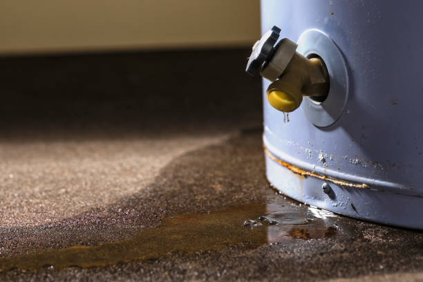 Best Flood restoration services  in Ingram, PA