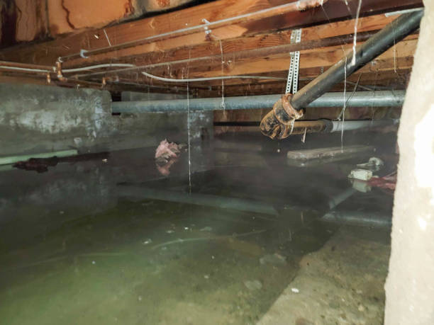 Local water damage restoration in Ingram, PA