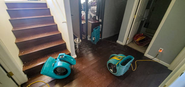 Best Sewage cleanup and water damage restoration  in Ingram, PA