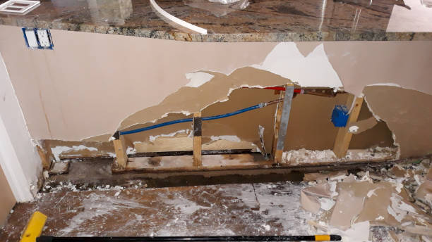 Best Water damage restoration near me  in Ingram, PA