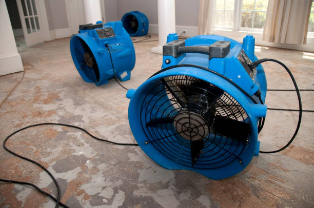 Best Basement water damage restoration  in Ingram, PA