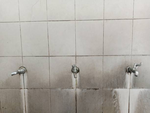 Best Fire Damage Restoration  in Ingram, PA