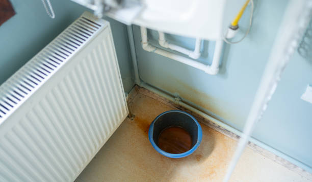 Best Local water damage restoration  in Ingram, PA