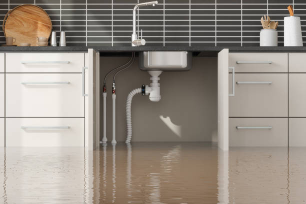  Ingram, PA Water damage restoration Pros